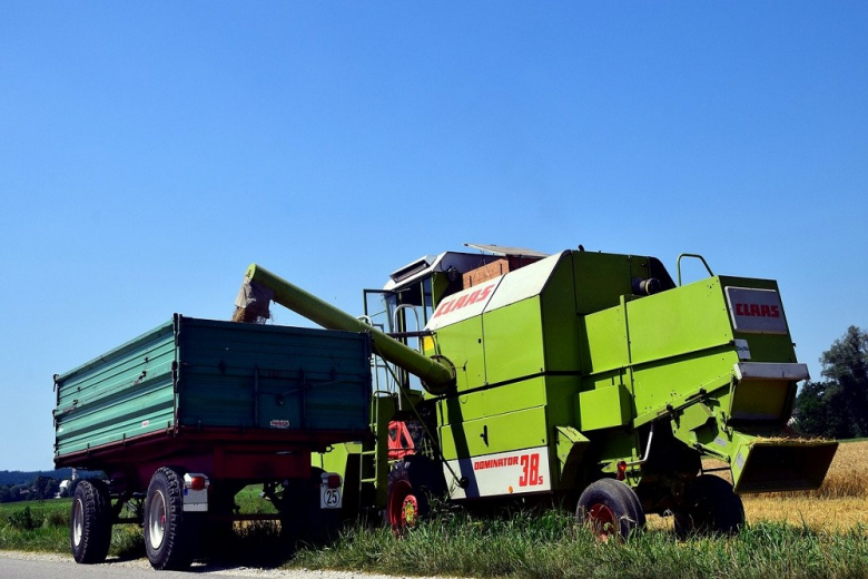В Аргентине повысили прогноз урожая пшеницы